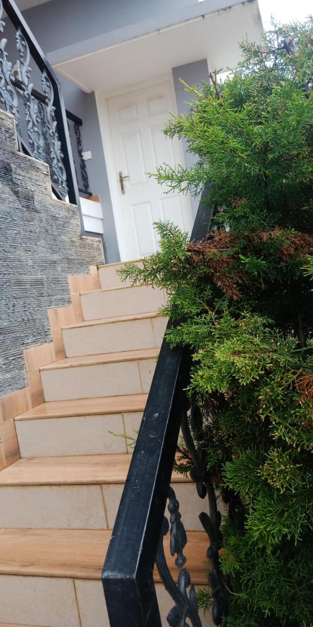 Aanvis inn Ooty Buitenkant foto