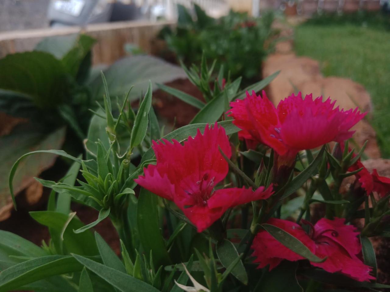 Aanvis inn Ooty Buitenkant foto